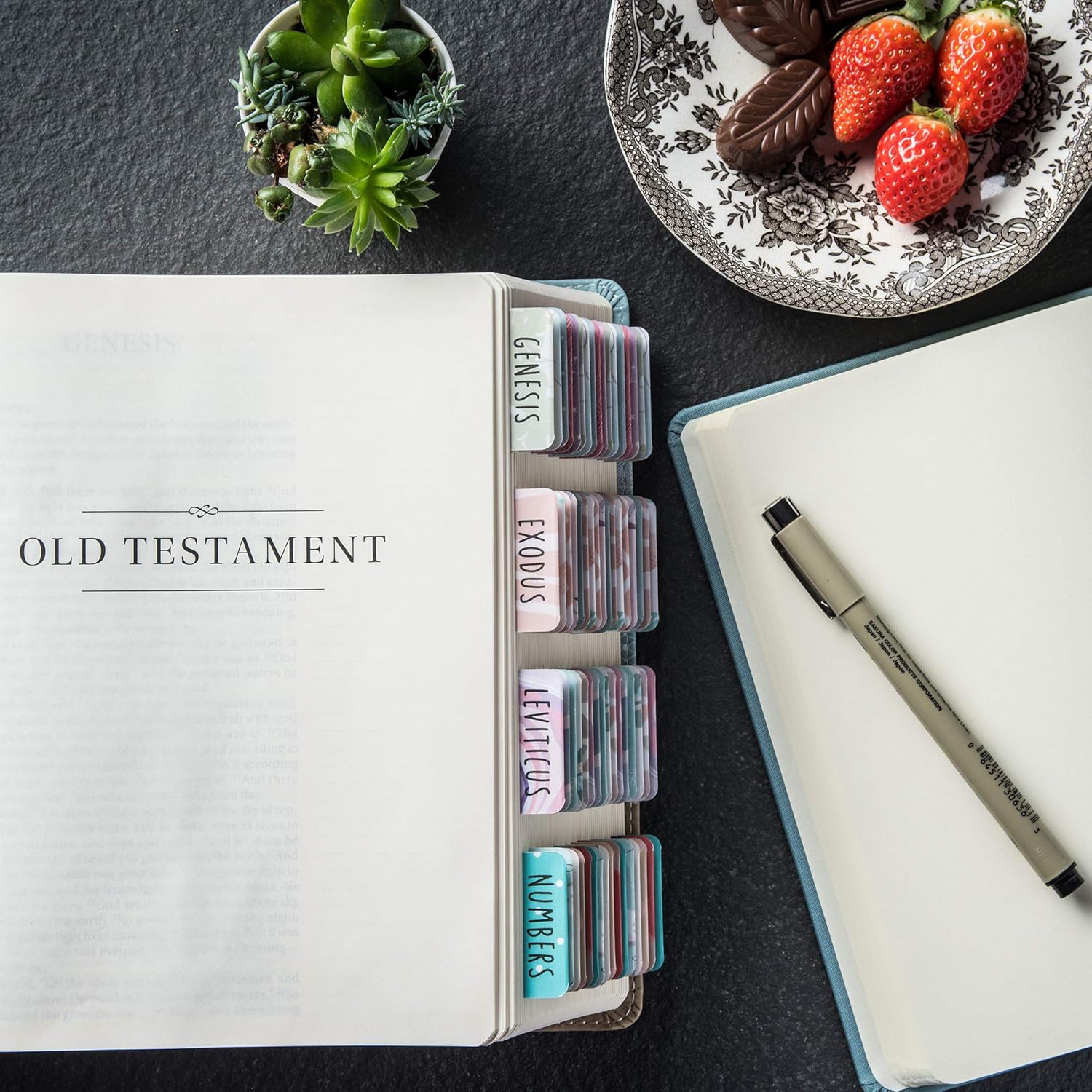 Image1bibletabs_bc5d2c43-3c65-46c2-89fb-a5dfe2a118f7